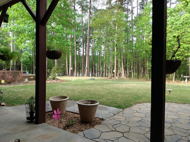 view of yard with a patio