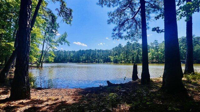 111 Stonebridge Loop, Mccormick, SC 29835 - water view featuring a forest