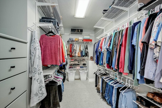 walk in closet featuring carpet floors