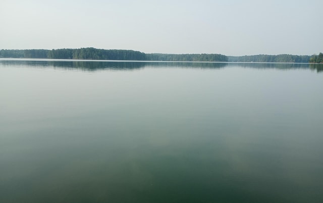 view of water feature