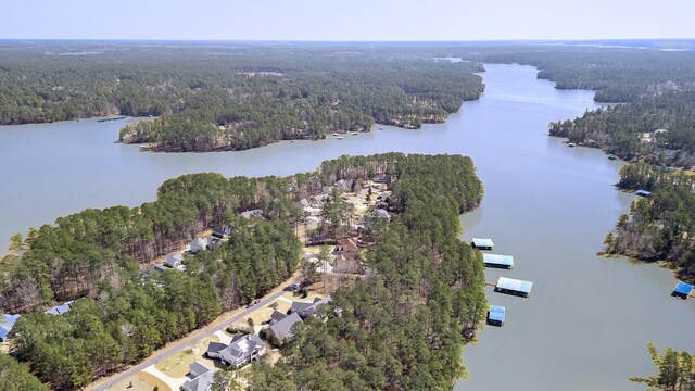 111 Stonebridge Loop, Mccormick, SC 29835 - aerial view of property's location with a forest and a nearby body of water