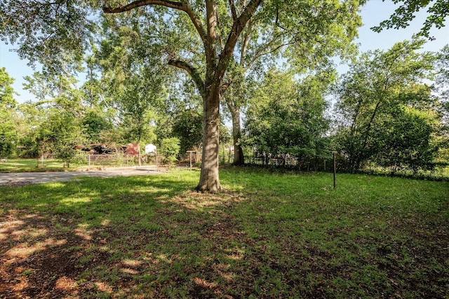2131 Reedale Ave, Augusta, GA 30906 - view of green lawn