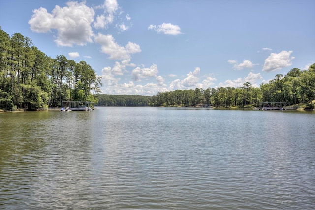 320 Vista Ln, Mccormick, SC 29835 - photo 7