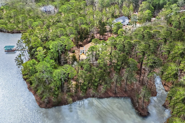 bird's eye view featuring a water view and a wooded view