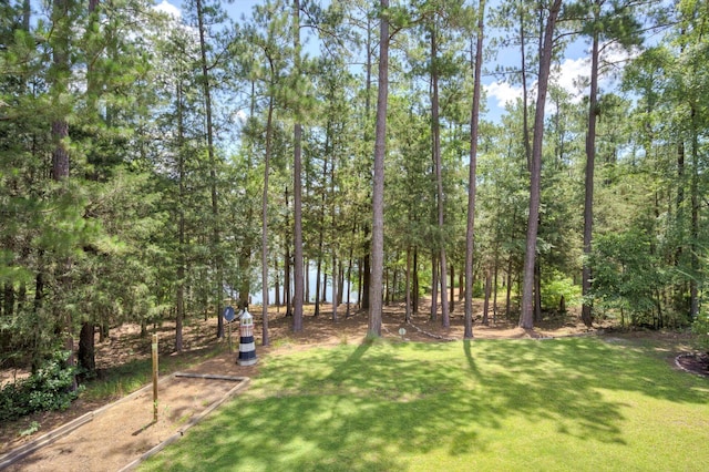320 Vista Ln, Mccormick, SC 29835 - photo 48