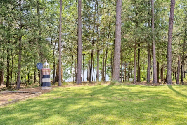 320 Vista Ln, Mccormick, SC 29835 - photo 5