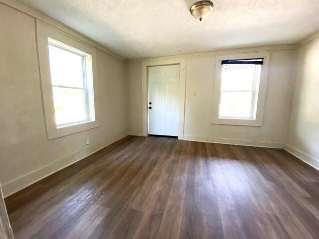 interior space with dark wood-type flooring, plenty of natural light, and a textured ceiling