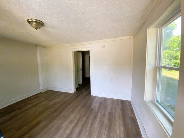 spare room with dark hardwood / wood-style flooring, plenty of natural light, and a textured ceiling