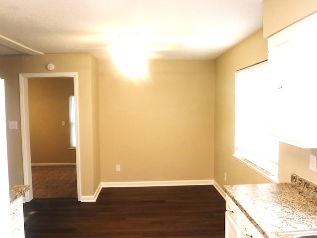 unfurnished room featuring dark wood-type flooring