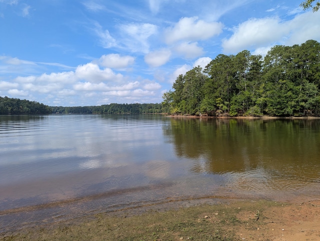LOT18 S Pointe Ct, Lincolnton, GA 30817 - photo 3