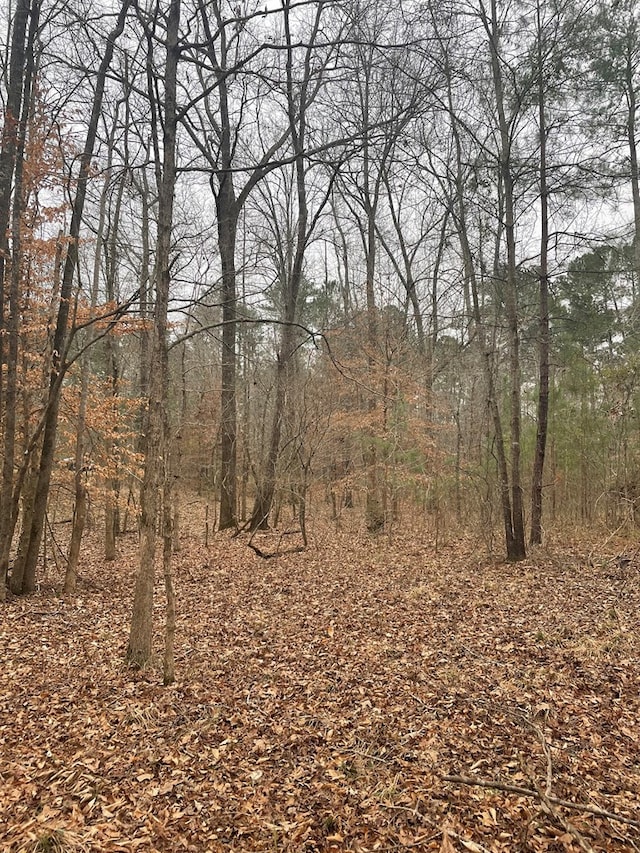 LOT18 S Pointe Ct, Lincolnton, GA 30817 - photo 9
