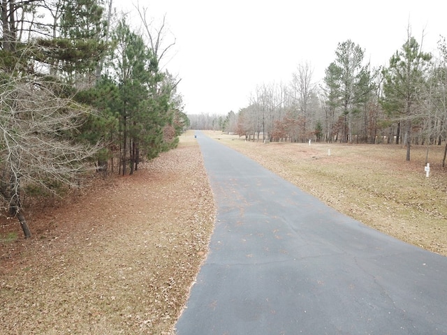 LOT18 S Pointe Ct, Lincolnton, GA 30817 - photo 6