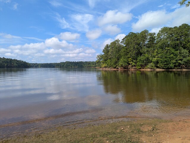 LOT18 S Pointe Ct, Lincolnton, GA 30817 - photo 4