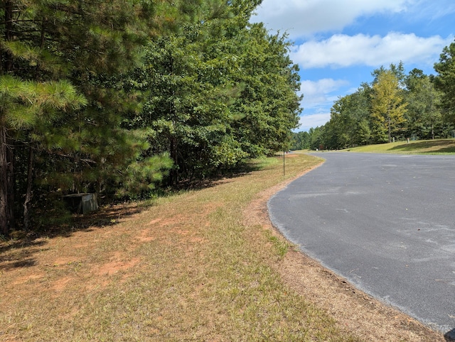 LOT18 S Pointe Ct, Lincolnton, GA 30817 - photo 12