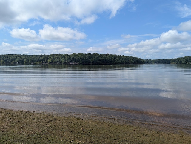 LOT18 S Pointe Ct, Lincolnton, GA 30817 - photo 1