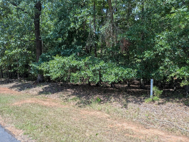 LOT18 S Pointe Ct, Lincolnton, GA 30817 - photo 13