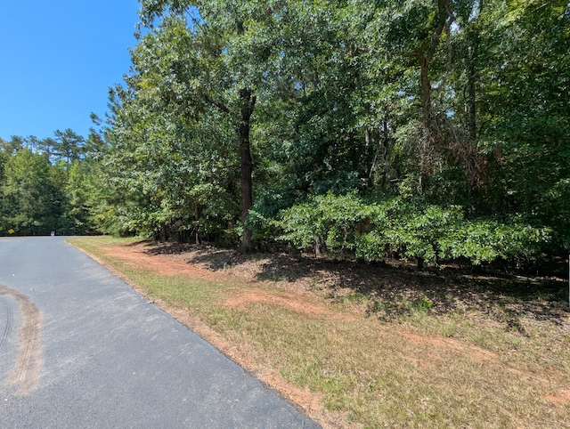 LOT18 S Pointe Ct, Lincolnton, GA 30817 - photo 16