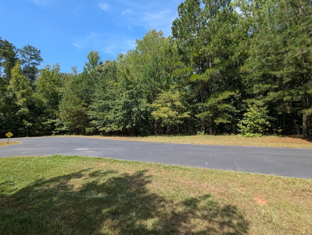 LOT18 S Pointe Ct, Lincolnton, GA 30817 - photo 10