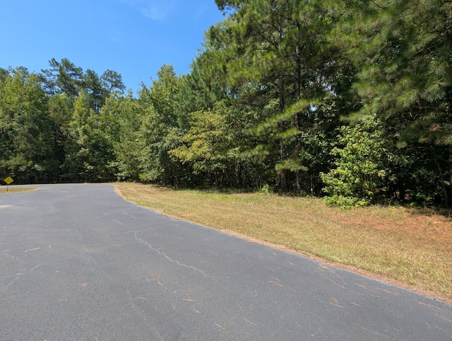 LOT18 S Pointe Ct, Lincolnton, GA 30817 - photo 17
