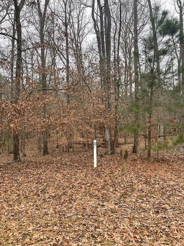 LOT18 S Pointe Ct, Lincolnton, GA 30817 - photo 7