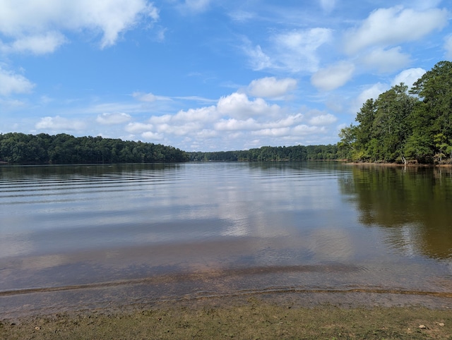 LOT18 S Pointe Ct, Lincolnton, GA 30817 - photo 5