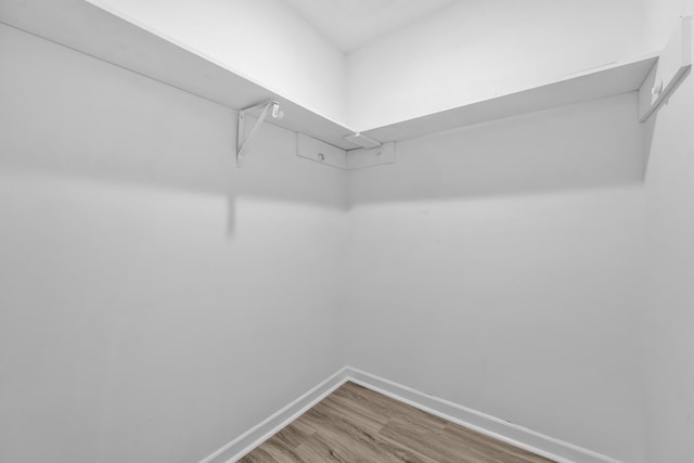 spacious closet featuring wood finished floors