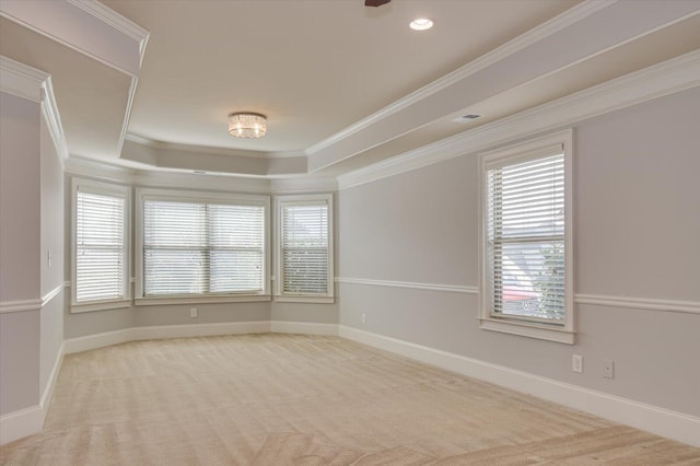 carpeted spare room featuring a raised ceiling and crown molding