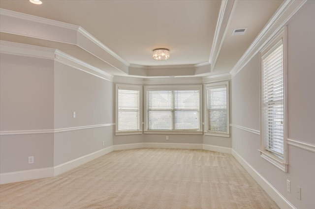 carpeted spare room featuring a tray ceiling and ornamental molding