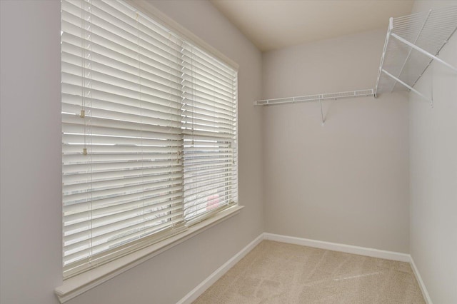 spacious closet with carpet flooring