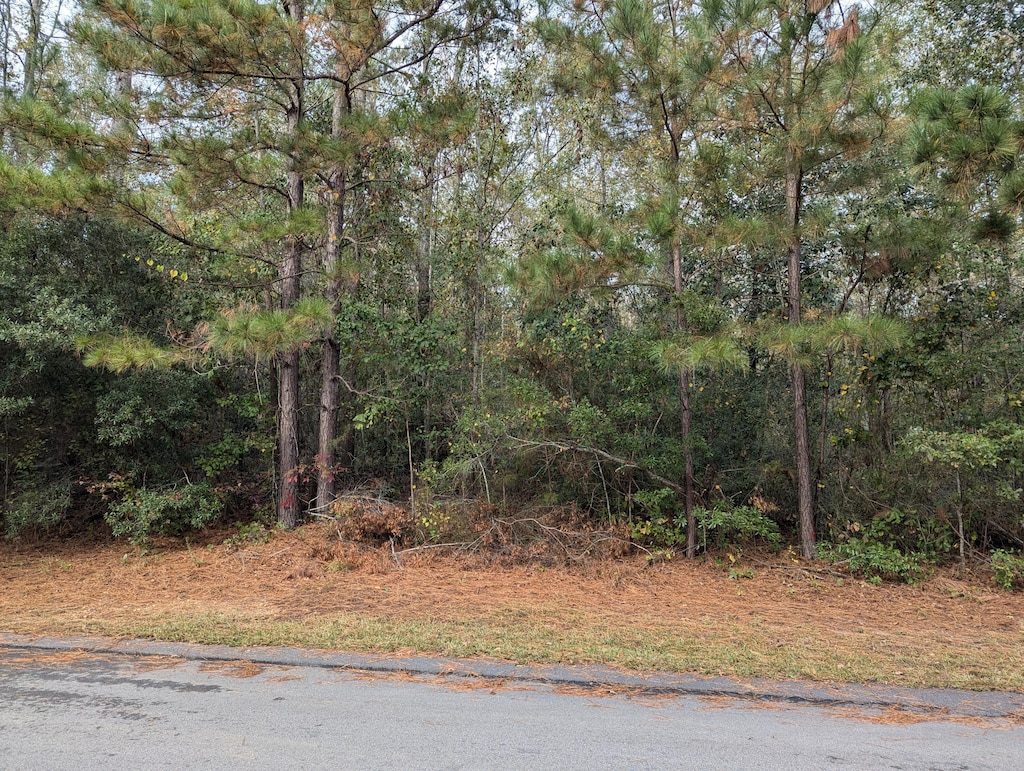 0 Summercreek, Graniteville, SC 29829 - photo 3