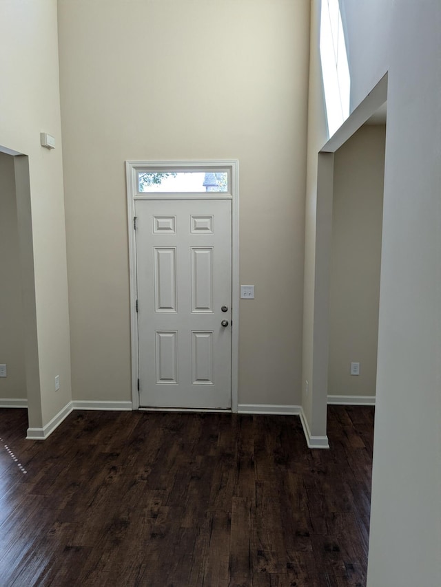 foyer with dark hardwood / wood-style flooring and a high ceiling