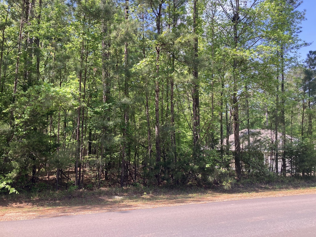 104 Crescent Dr, Mccormick, SC 29835