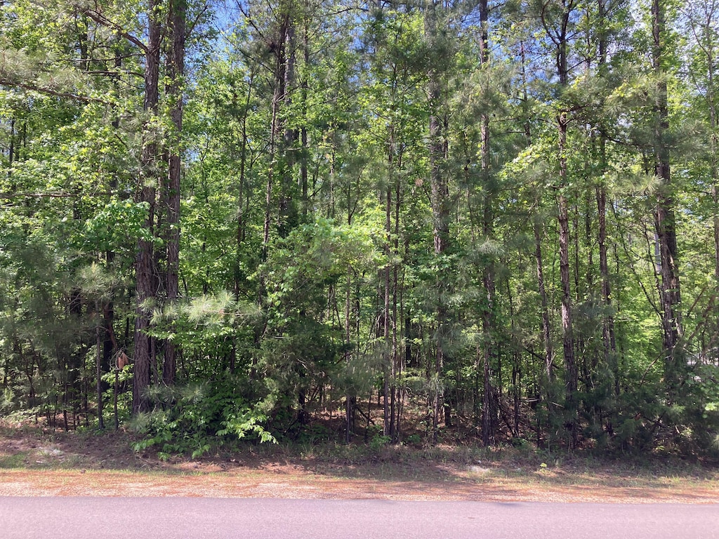 104 Crescent Dr, Mccormick, SC 29835