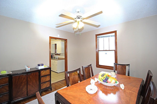 dining room featuring ceiling fan and light hardwood / wood-style floors