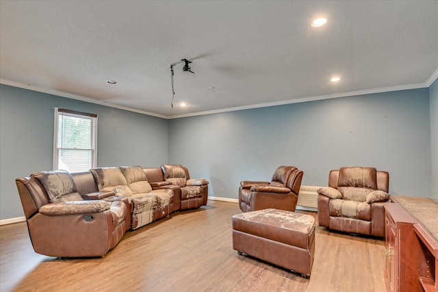 3129 Goolsby Rd, Blythe, GA 30805 - living room with crown molding, light wood-style floors, and recessed lighting