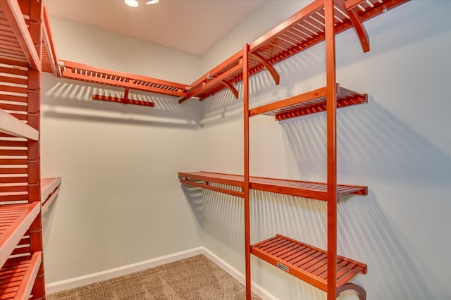 3129 Goolsby Rd, Blythe, GA 30805 - spacious closet with carpet