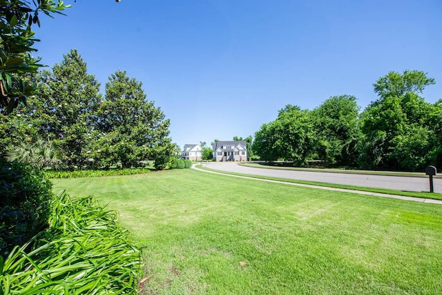 114 Altamaha Dr, North Augusta, SC 29841 - view of grassy yard