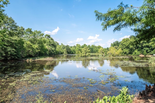 114 Altamaha Dr, North Augusta, SC 29841 - water view featuring a heavily wooded area