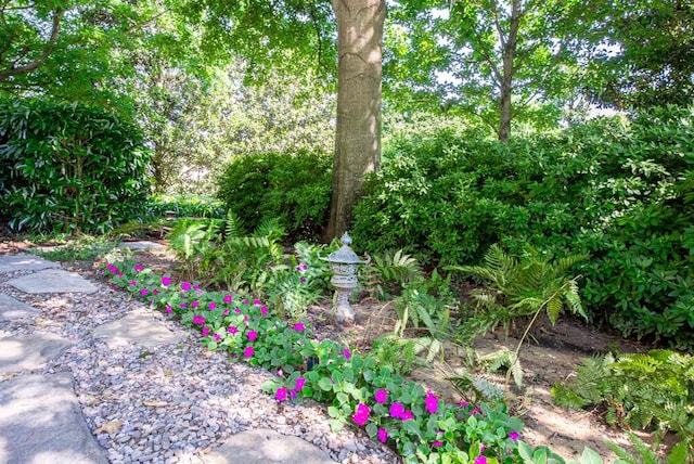 114 Altamaha Dr, North Augusta, SC 29841 - view of yard