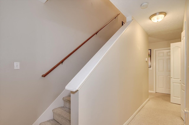 staircase with carpet floors