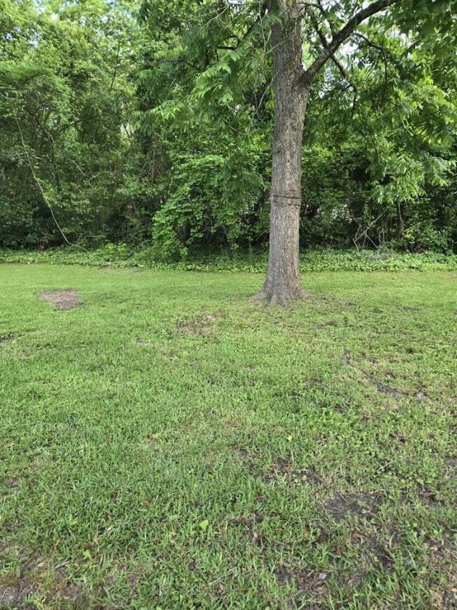 213 Whitehead St, Thomson, GA 30824 - view of grassy yard