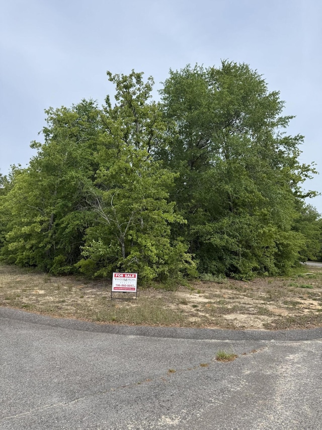 LOT29 Equestrian Way, Aiken, SC 29805 - photo 1