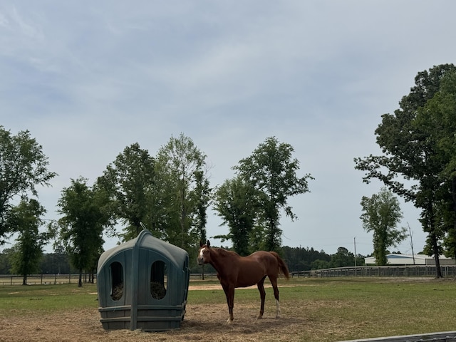 LOT29 Equestrian Way, Aiken, SC 29805 - photo 4