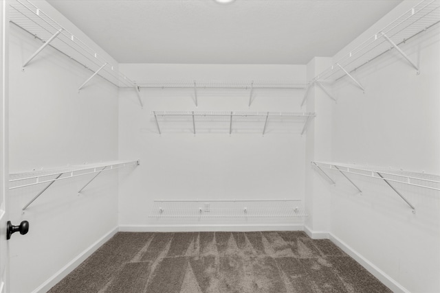 751 Bancroft Dr, Grovetown, GA 30813 - spacious closet with carpet flooring