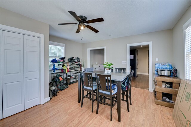 501 Beaufort Dr, Augusta, GA 30904 - dining space featuring light wood-type flooring, a ceiling fan, and plenty of natural light