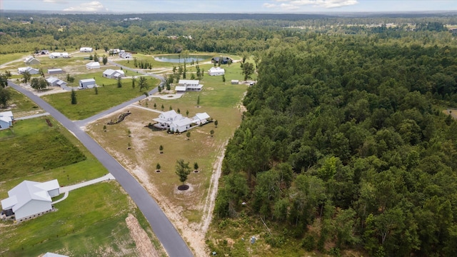 1513 Paris Ave, Swainsboro, GA 30401 - aerial overview of property's location featuring a heavily wooded area and a nearby body of water