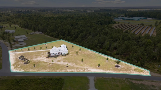1513 Paris Ave, Swainsboro, GA 30401 - view of property location with a heavily wooded area