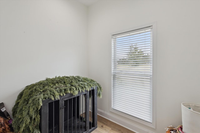 1513 Paris Ave, Swainsboro, GA 30401 - detailed view of wood finished floors and baseboards