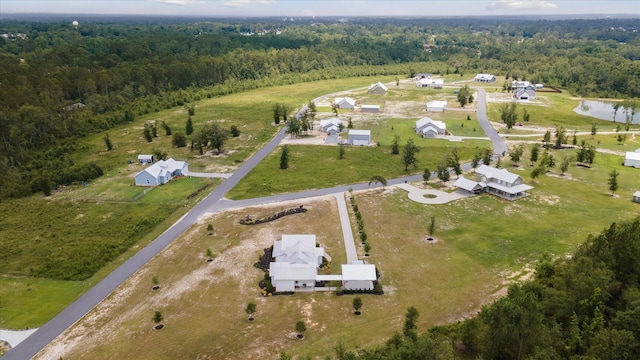 1513 Paris Ave, Swainsboro, GA 30401 - aerial view of property and surrounding area with a forest