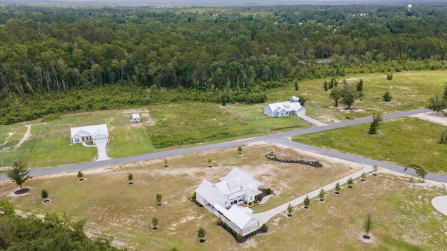 1513 Paris Ave, Swainsboro, GA 30401 - aerial view of a heavily wooded area